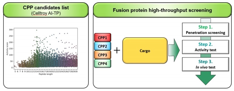 국동 관계사 ‘쎌트로이', 새로운 세포투과성 플랫폼 특허 출원