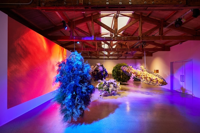 록시땅, ‘록시땅 스테이’ 특별 전시서 이모르뗄과 프로방스 필드 선보여