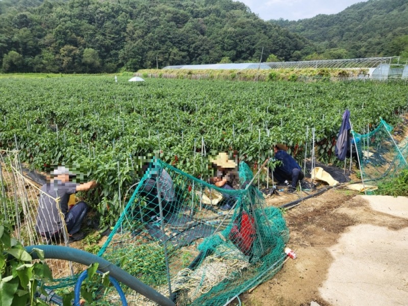 (사진제공=안동준법지원센터)