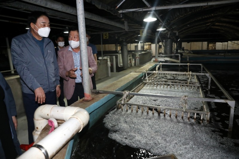 임준택 수협중앙회장(사진 가장 왼쪽)이 3일 전남지역 양식장에서 양식현황을 살펴보고 있다. (사진=수협중앙회)