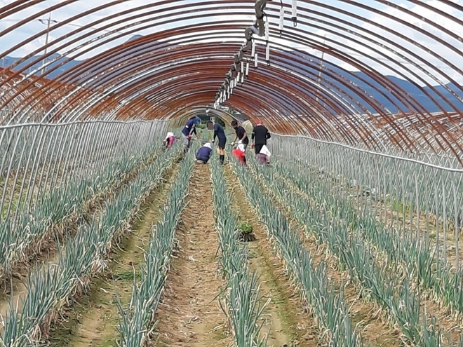 (사진제공=부산준법지원센터)