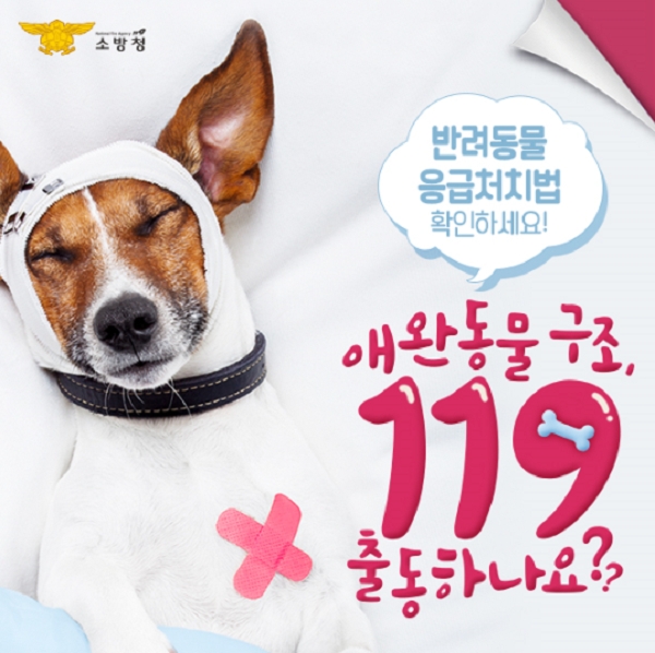 (제공=의령소방서)