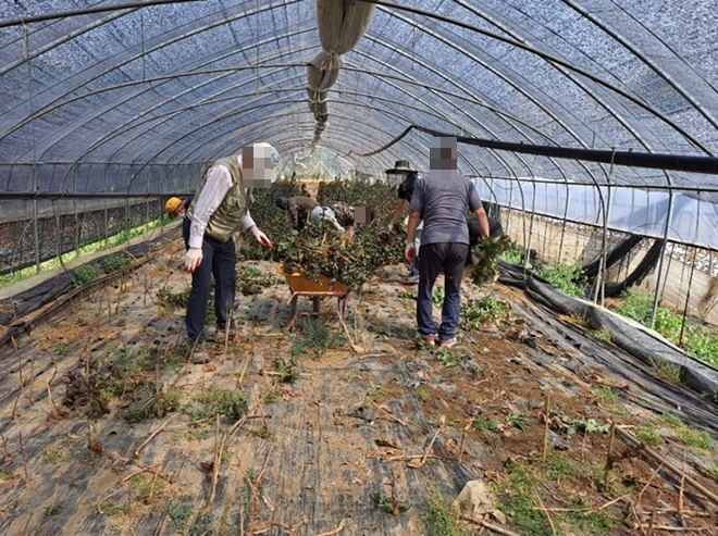 (사진제공=서울남부준법지원센터)