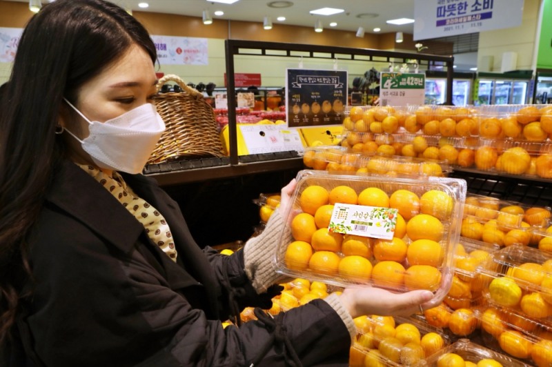 롯데마트, 이색 과일 확대에 나서