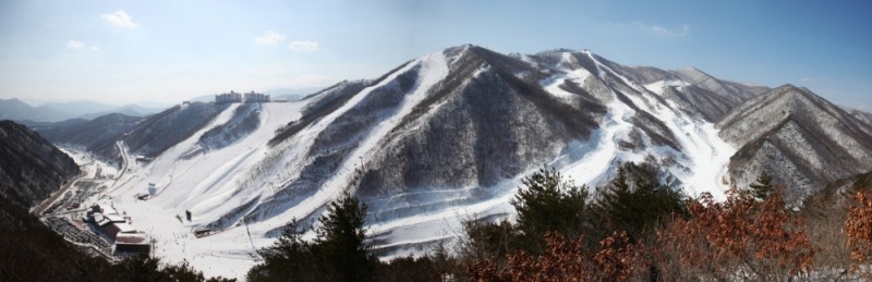 오투리조트 스키장 슬로프 전경