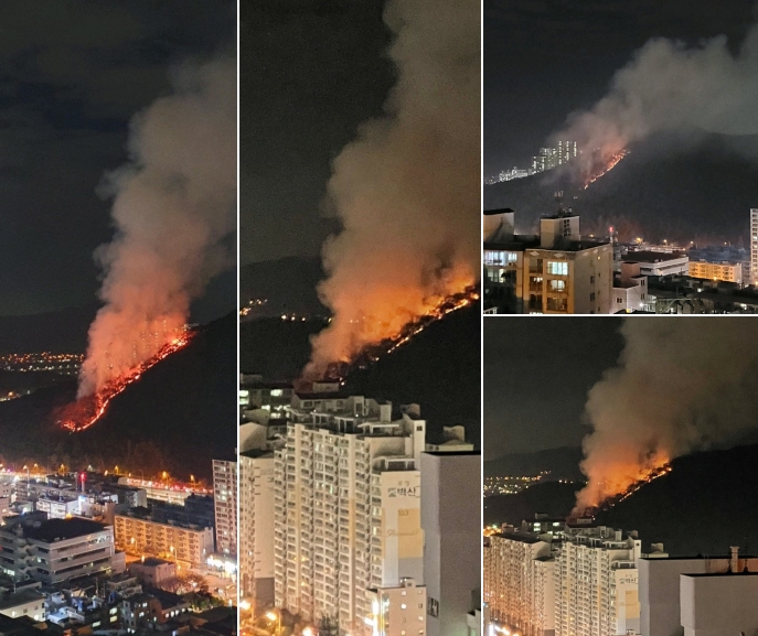 (사진제공=부산경찰청)