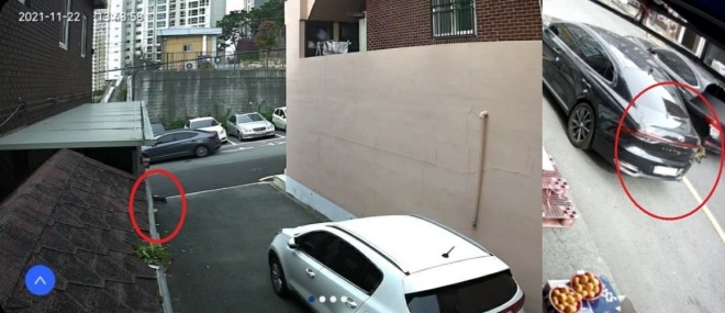 (사진제공=부산경찰청)