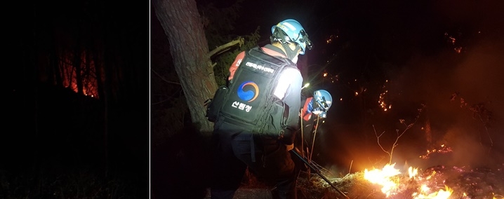 (사진제공=산림청)