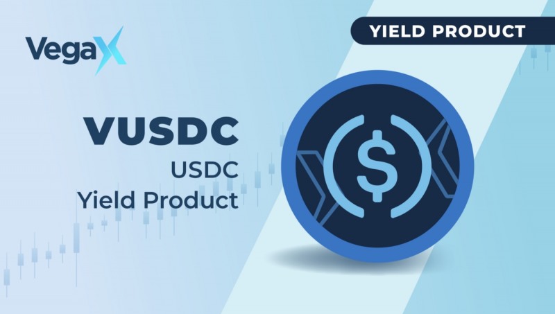 ﻿베가엑스, 스테이블코인 USDC 기반 투자 상품 ‘VUSDC’ 출시
