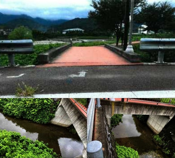 사건현장 다리.(사진제공=울산지법)