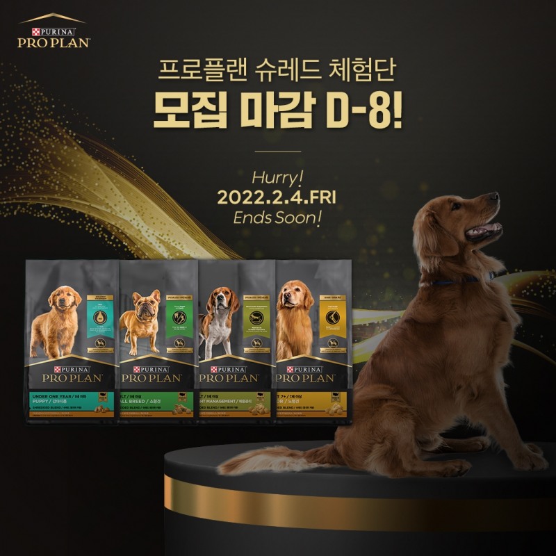네슬레 퓨리나, ‘프로플랜 슈레드’ 체험단 모집 마감 임박