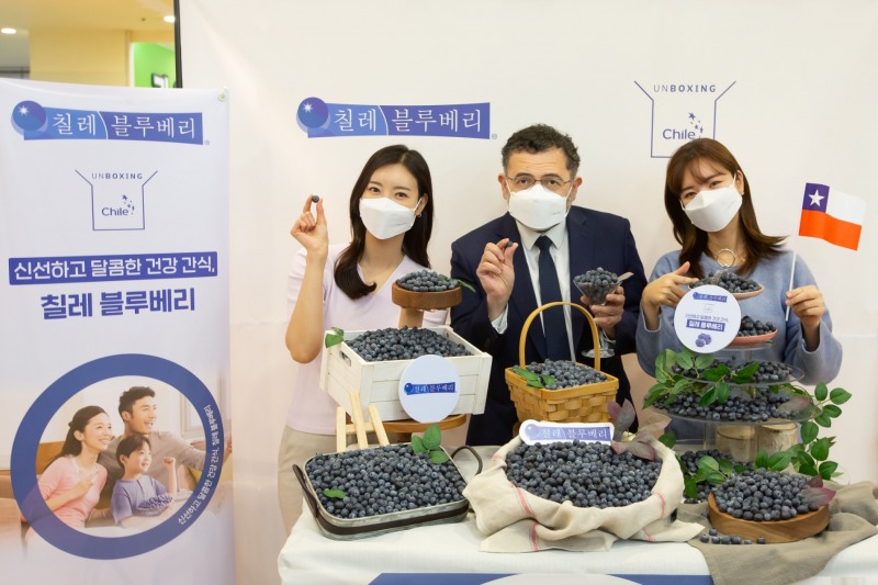 롯데마트, "칠레에서 온 블루베리, 롯데마트에서 만나요"