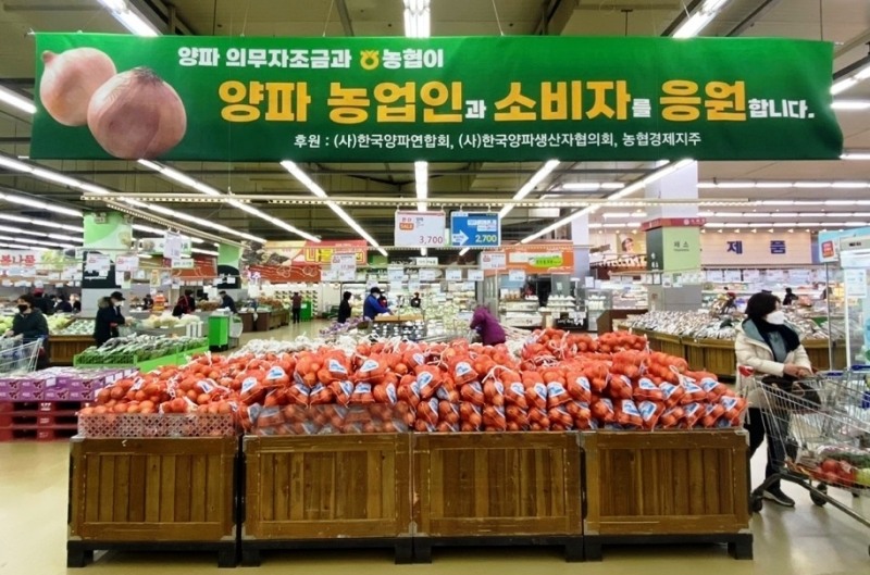 농협, 양파농가 돕기 위한 소비촉진 총력