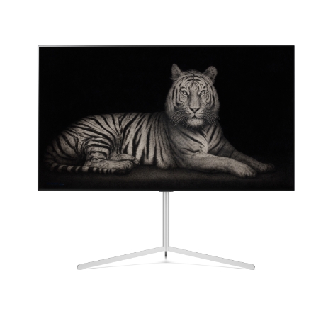 LG 올레드 TV, 스타필드 하남 ‘Amulet 호령展’에 NFT 예술 작품 전시 참여