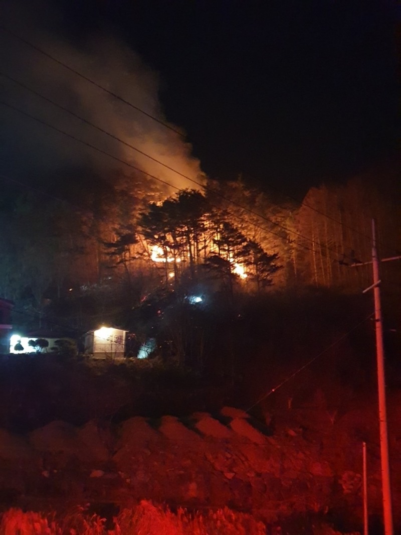 (사진제공=산림청)