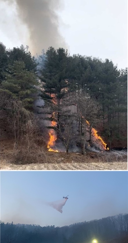 (사진제공=산림청)