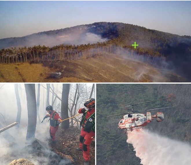 (사진제공=산림청)