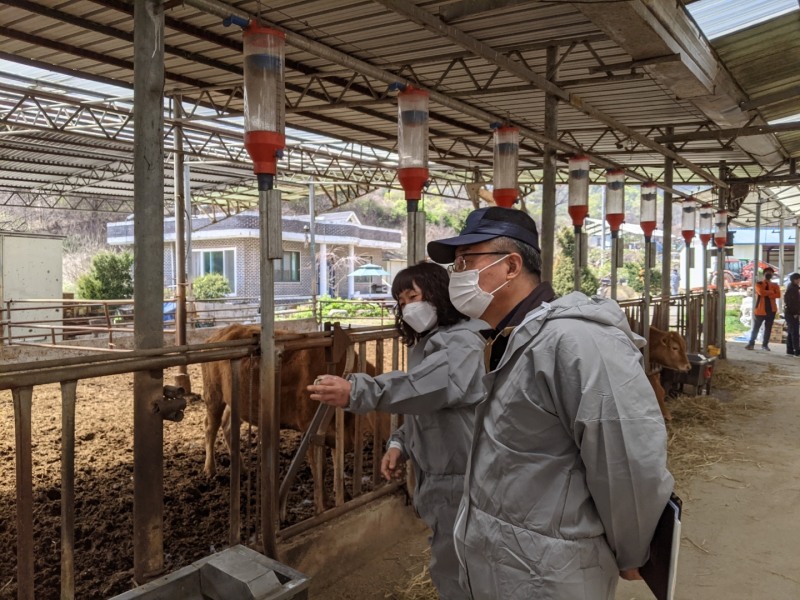 농협경제지주, 한우농가 종합경영컨설팅 사업 참가자 모집