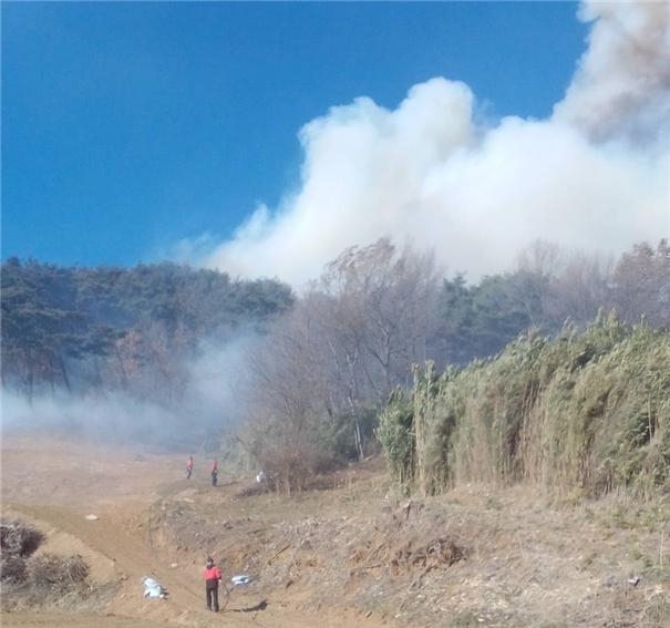 (사진제공=산림청)