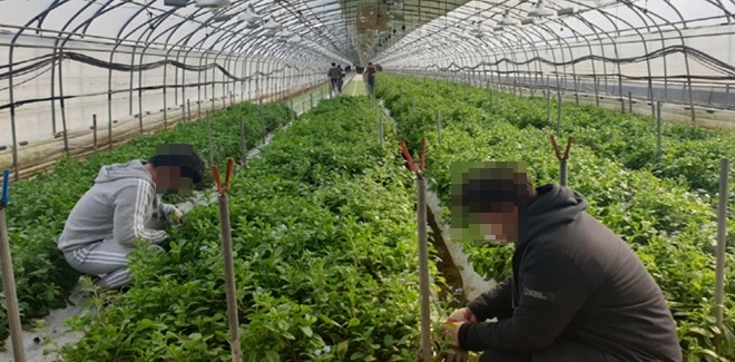 (사진제공=대구준법지원센터)