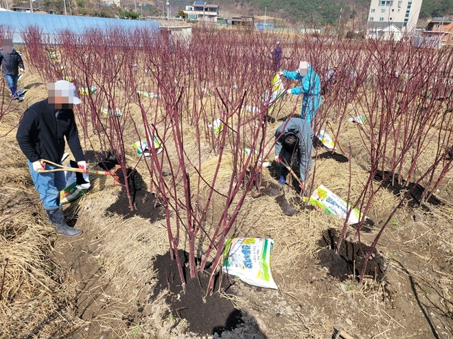 (사진제공=울산준법지원센터)
