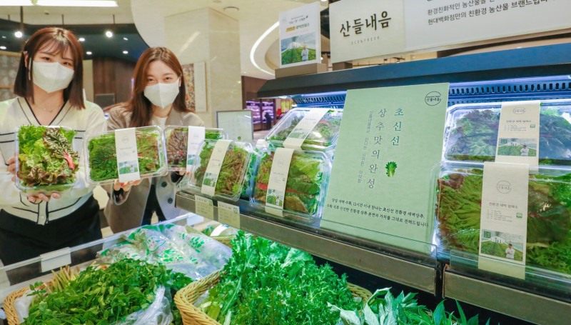 현대백화점그룹 계열 종합식품기업 현대그린푸드는 자체 친환경 농산물 브랜드 '산들내음'을 통해 당일 수확한 '친환경 새벽 쌈채소'를 선보인다고 24일 밝혔다.친환경 새벽 쌈채소는 로메인·치커리·적상추 등 총 130g으로 구성되며, 판매가격은 5,000원이다. 당일 오전 5~7시에 수확해 오후 12시부터 현대백화점 압구정본점·무역센터점·판교점 등 3개 점포 식품관에서 하루 20팩 한정수량으로 판매된다. 현대그린푸드 측은 주 3회(화·목·토) 시범 운영 후 점차 판매 요일을 확대해 나간다는 계획이다.