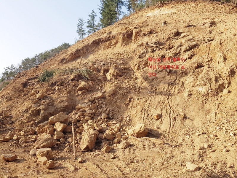 문호리 일대 벌목목적이 아닌 불법개발행위에 준하는 공사가 진행되고 있는 산지