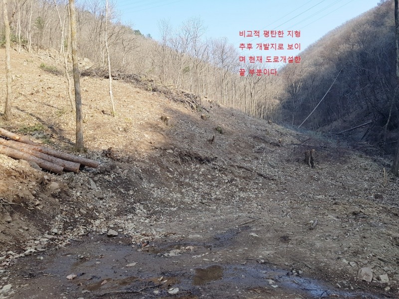 문호리 일대 벌목목적이 아닌 불법개발행위에 준하는 공사가 이루어지고 있는 산지