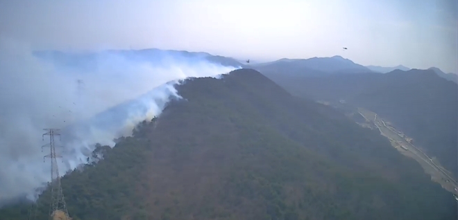 (사진제공=산림청)