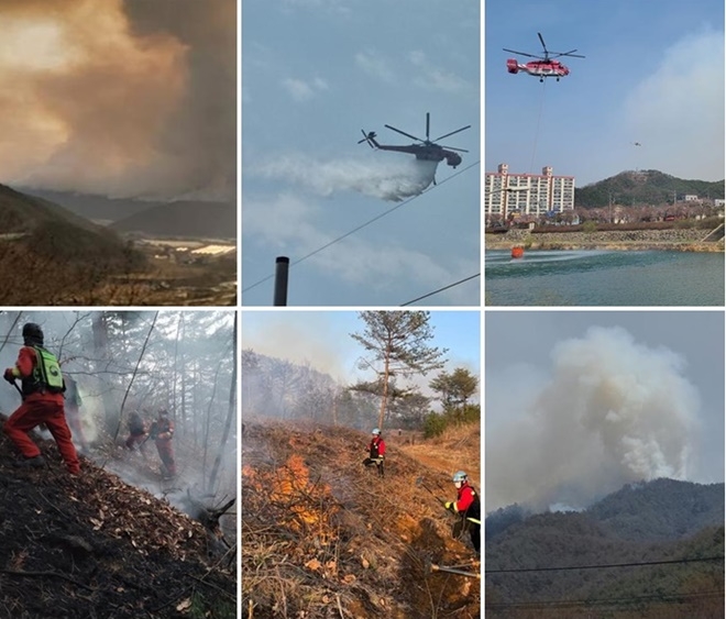 (사진제공=산림청)