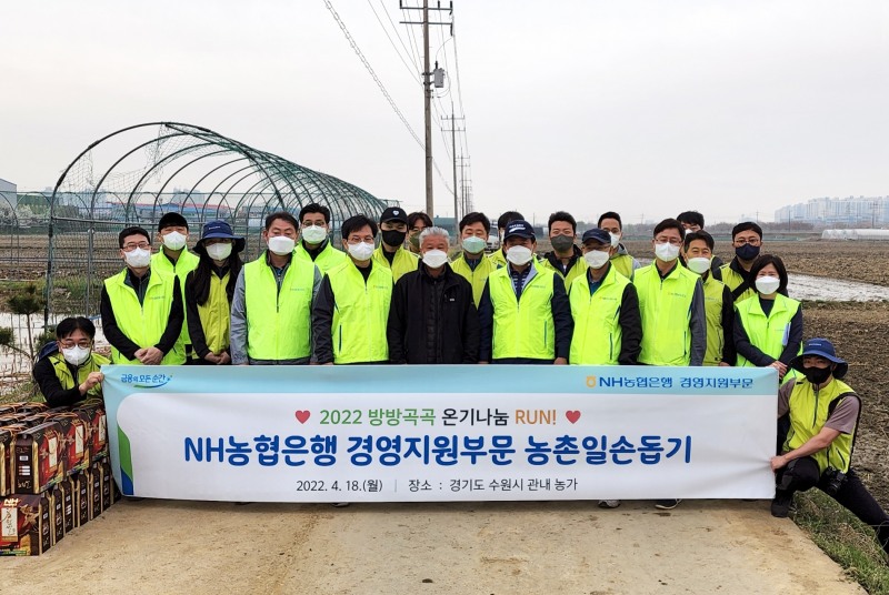 NH농협은행 경영지원부문, 영농철 맞아 벼 농가 일손돕기 실시
