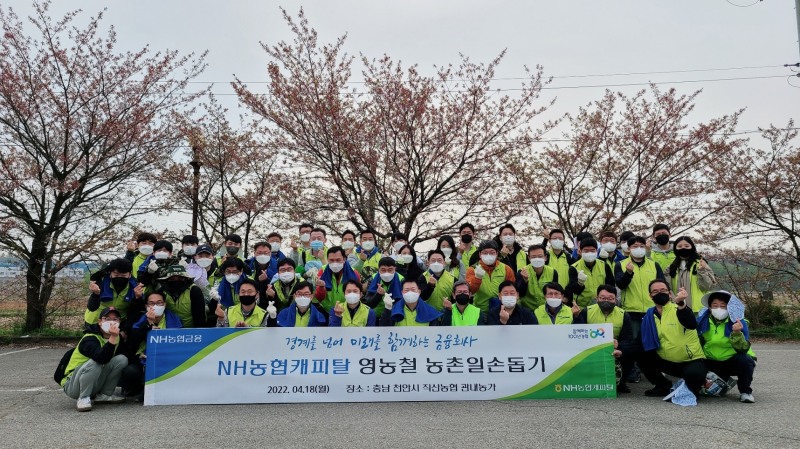 NH농협캐피탈, 천안시 직산농협 관내 배농가 일손돕기 실시