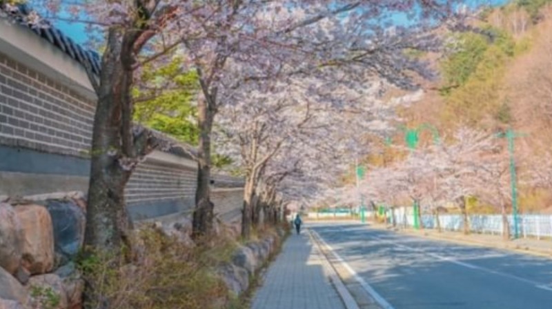 태백당골길 〈사진제공=부영그룹〉