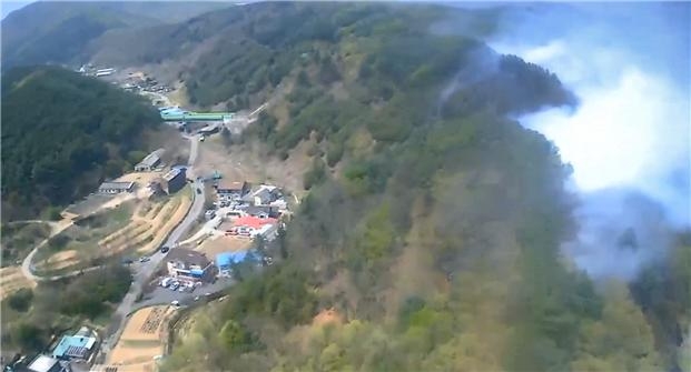 (사진제공=산림청)