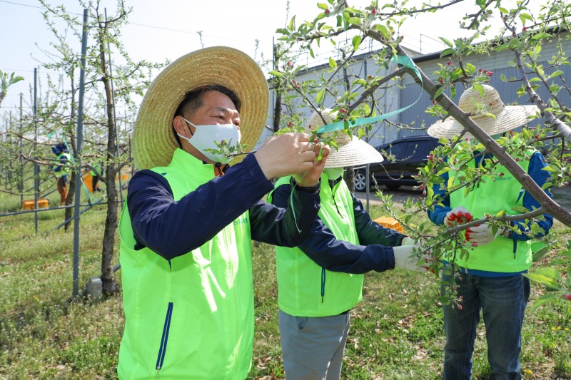 농협, 농번기 맞아 농가 일손돕기 나서