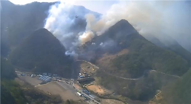 (사진제공=산림청)