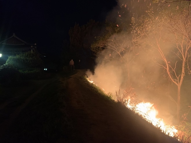 (사진제공=산림청)