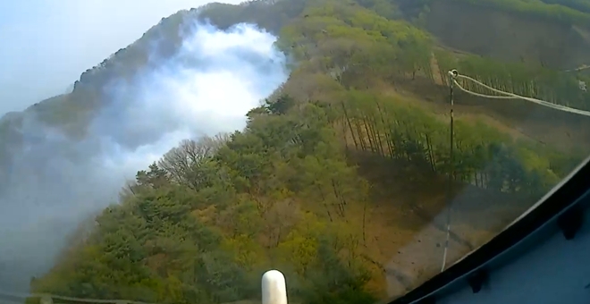 (사진제공=산림청)