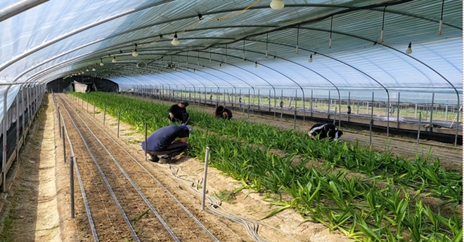 (사진제공=대구준법지원센터)