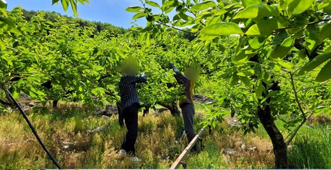 (사진제공=창원준법지원센터)