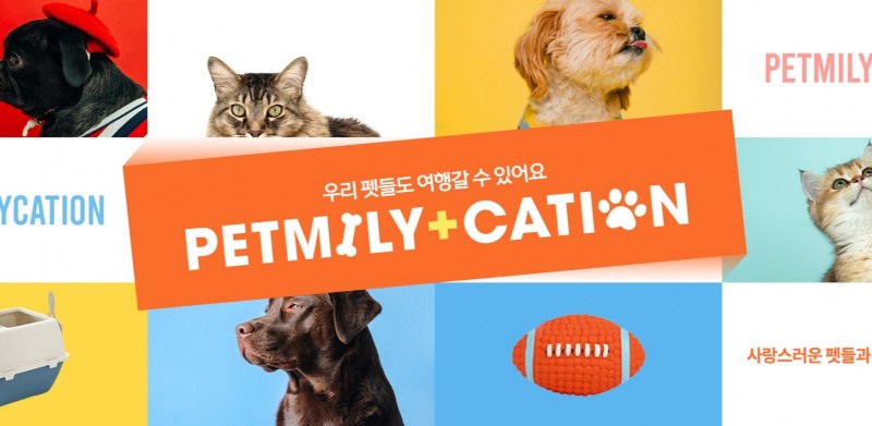 티몬, 반려동물 눈높이 맞춘 ‘감성 숙소’ 프로모션 진행