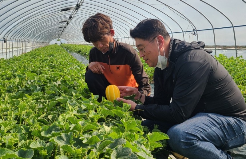 롯데마트, 판로 제공 및 소비촉진행사 진행