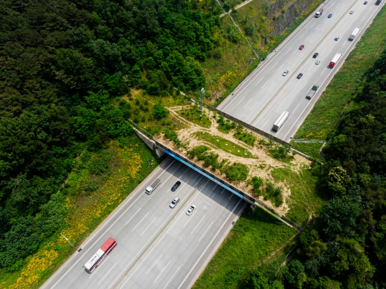 도로공사 "동물찻길사고, 5~6월 최다 발생" 주의 당부