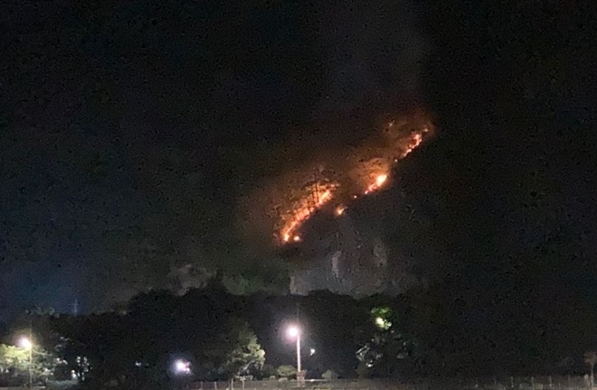 (사진제공=산림청)