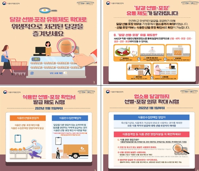 (제공=부산식약청)