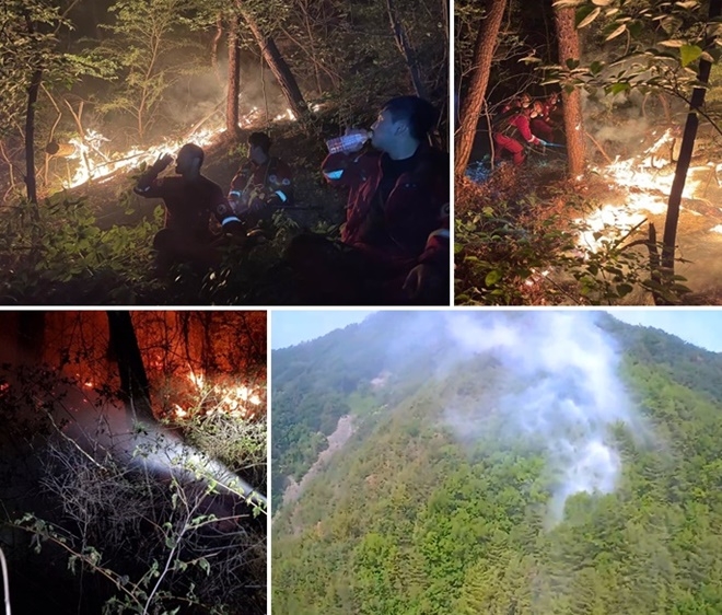 (사진제공=산림청)