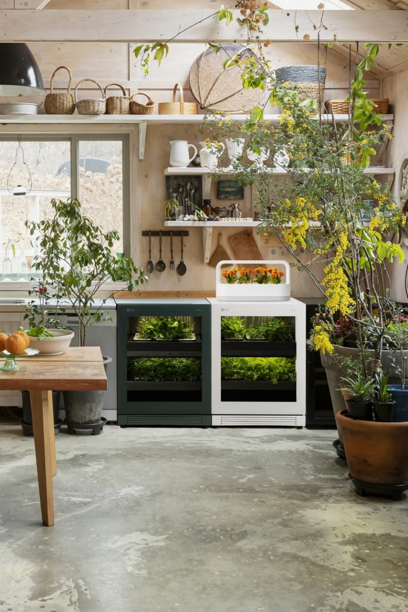 LG전자, 연암대와 식물생활가전 ‘LG 틔운’ 씨앗 키트 공동 개발 나선다