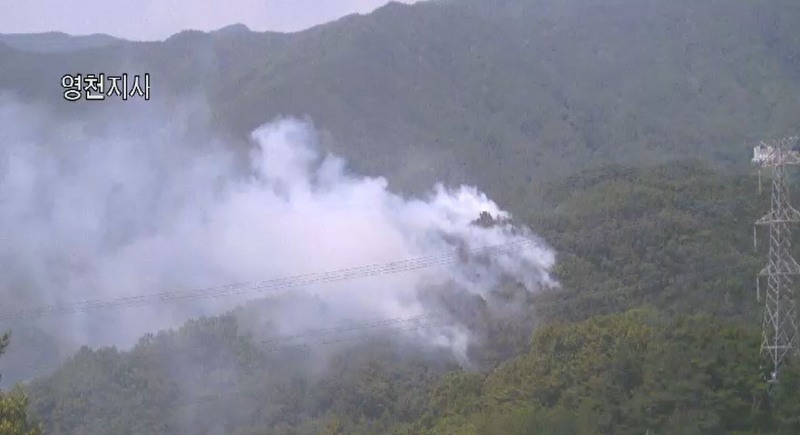 대구 동구 산불현장.(제공=산림청)