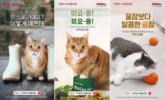 11번가, 유기묘 아이돌그룹 ‘11키티즈’와 유기동물 돕는 ‘희망상품 스토어’ 오픈