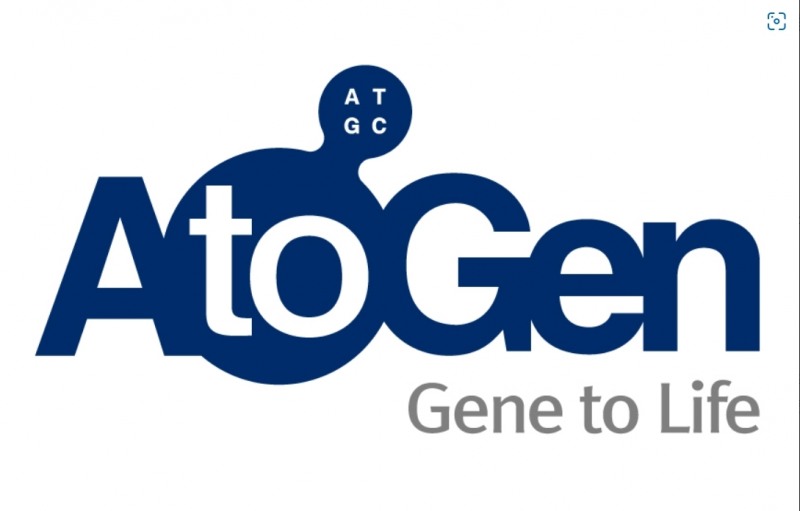 에이투젠,‘락토바실러스 플란타룸 ATG-K2 균주의 질염의 예방 및 치료 효능’ 미국 특허 획득